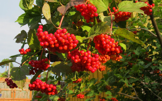 979344 (a): :2560x1600